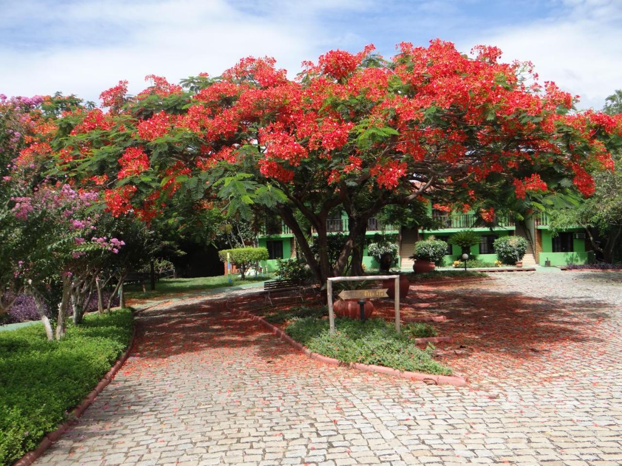 Ver A Vista Hotel Araruama Exterior foto